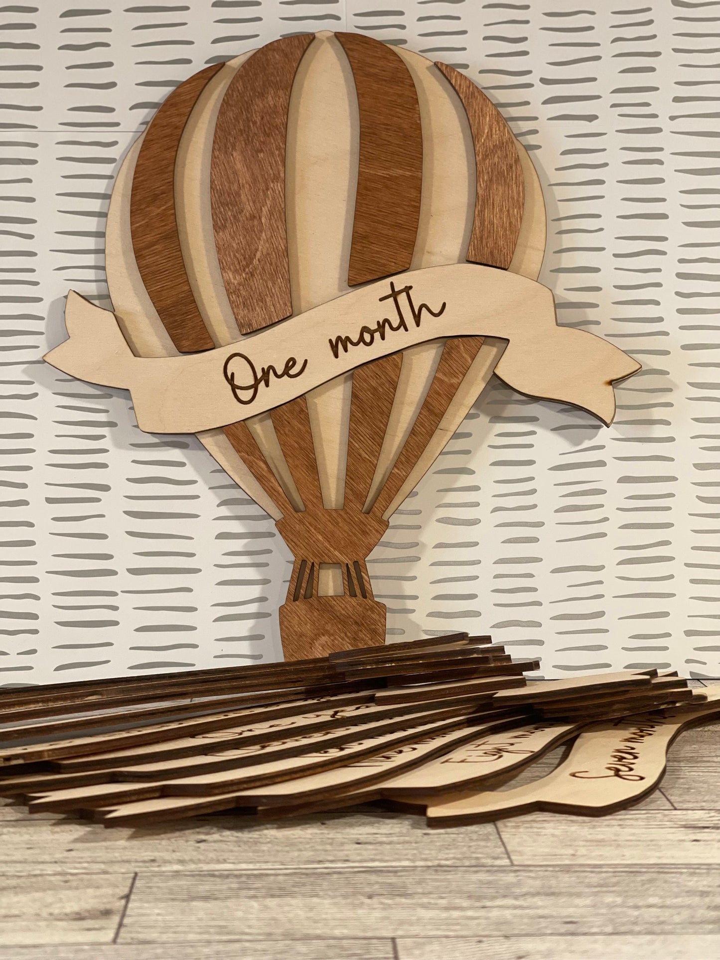 Baby Milestone Markers - Hot Air Balloon Monthly Milestones - Photo Props -New Baby Shower Gift - New Mother Gift - Laser Cut Balloon